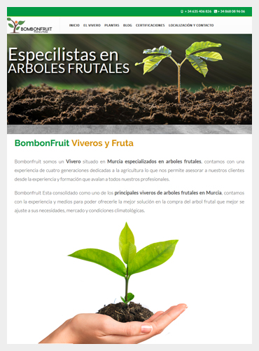 diseño web en murcia
